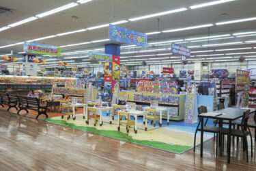 ヤマダデンキ、京都伏見店がテックランドに　おもちゃ売り場4倍に拡大、ファミリー層の来店狙う