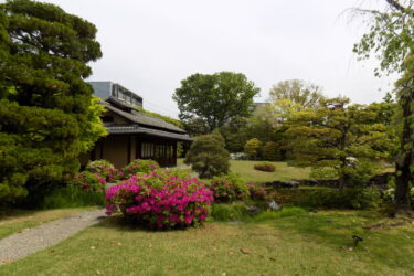 GSユアサ京都事業所の日本庭園、環境省の自然共生サイトに認定　生物多様性保全で評価　