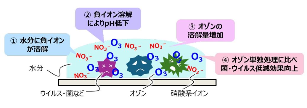 負イオンとオゾンの併用によるウイルス・菌などの低減メカニズム