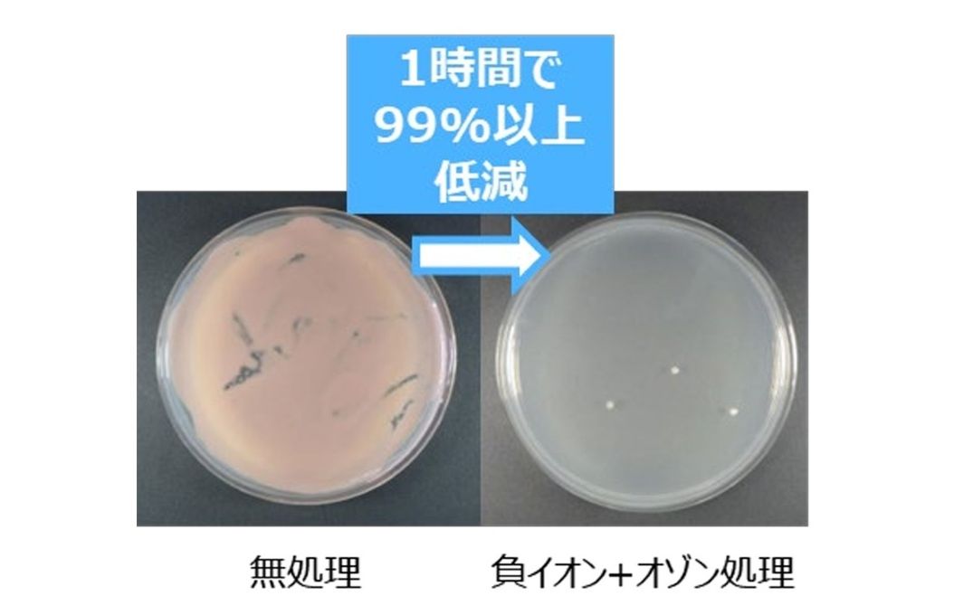 ピンクぬめり酵母菌の低減効果