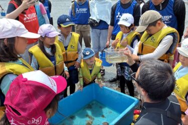 横浜で環境保全活動と科学教室開催　三菱電機神奈川支社