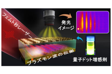 大阪公立大、ナノ空間の「光の動き」を撮影  量子ドット活用の新手法を開発