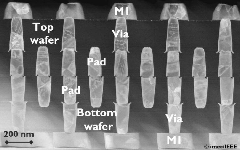 透過型顕微鏡（TEM)によるデイジーチェーン構造の断面図