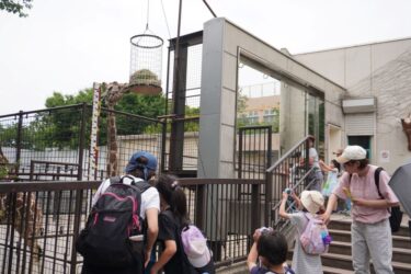 J:COM、神戸・王子動物園で地域交流型イベント　キッズカメラのワークショップなど実施