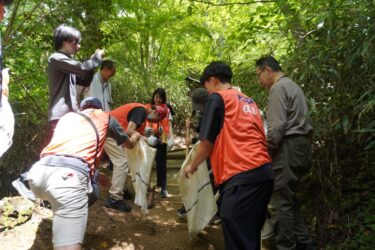 KDDI関西、和歌山・高野山と熊野古道でボランティア　山道を整備