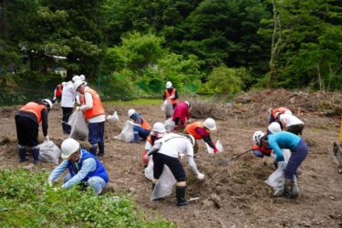 KDDI関西、京大の芦生研究林で外来植物駆除