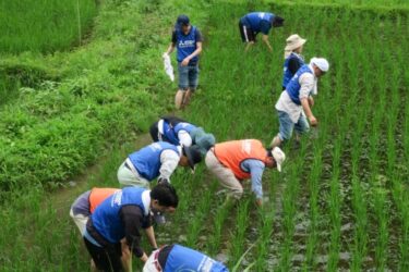 神奈川・鎌倉で里山保全活動実施　子ども向け環境教育活動も　三菱電機