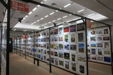 富士フイルム、参加型写真展を開催　「写ルンです」発売40周年記念イベントも