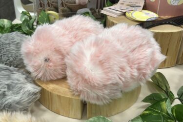 カシオ、AIペットロボットの新色発売　癒やし・心地よさ感じさせる「さくら色」