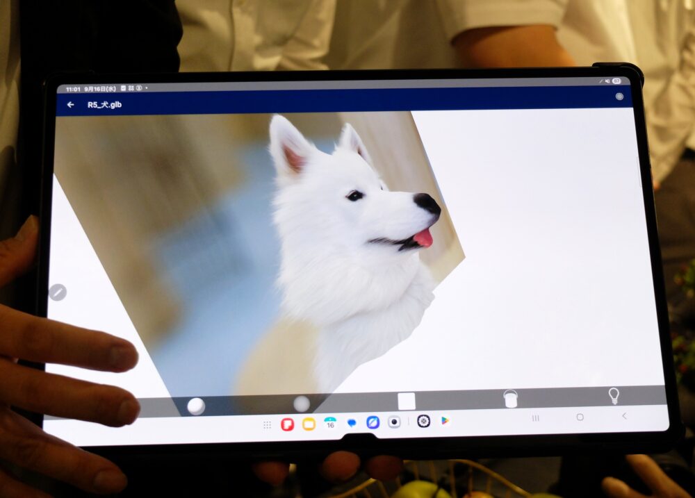 正面から撮影した犬の写真を3Dにした写真