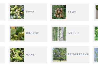 ナノイー技術が欧州の主要花粉アレルゲン抑制　パナソニックが実証